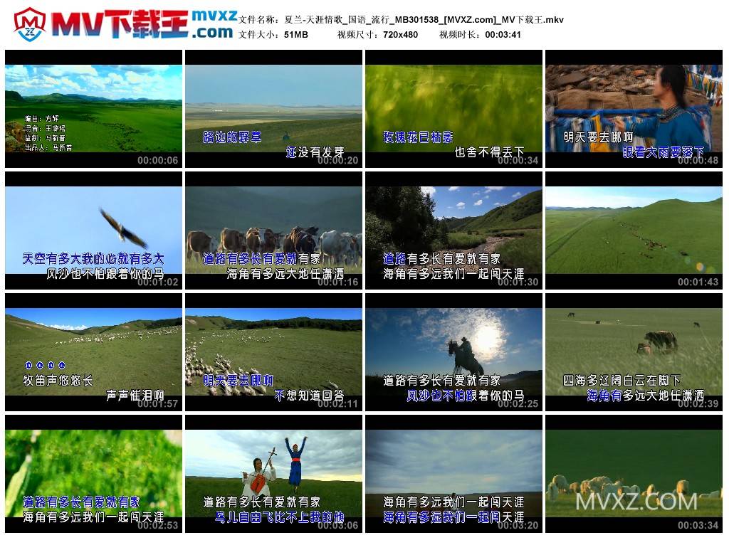 夏兰-天涯情歌_国语_流行_MB301538